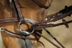 Rênes allemandes cuir - HFI - boucles en laiton