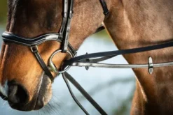 Rênes allemandes cuir HFI