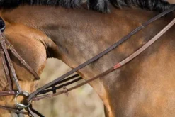 Rênes allemandes cuir HFI