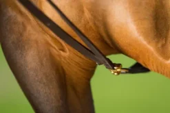 Rênes allemandes cuir HFI