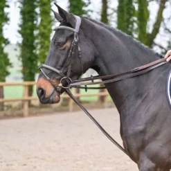 Rênes allemandes cuir plat - Jump'in