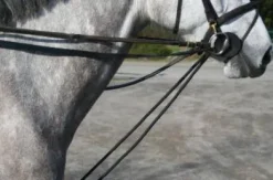 Rênes allemandes cuir/corde JMR Pro