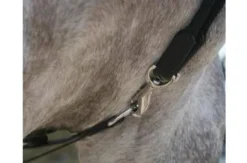 Rênes allemandes cuir/corde JMR Pro