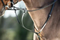 Running martingale - HFI - Caoutchouc et laiton