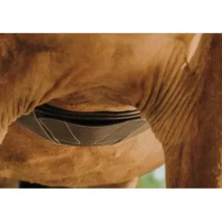 Sangle anatomique Magnet - NORTON