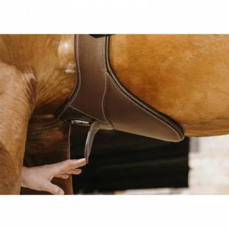 Sangle bavette Magnet - NORTON