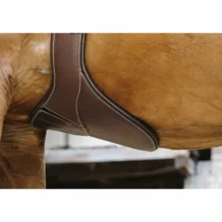 Sangle bavette Magnet - NORTON