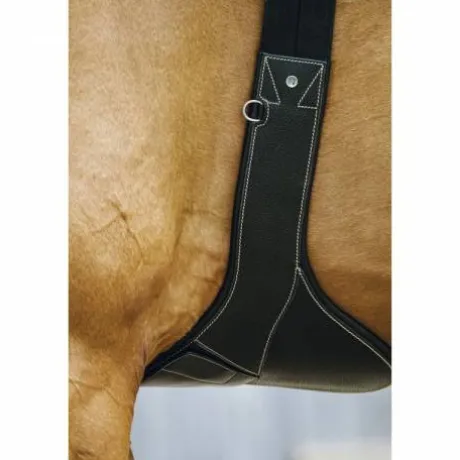 Sangle bavette Magnet - NORTON