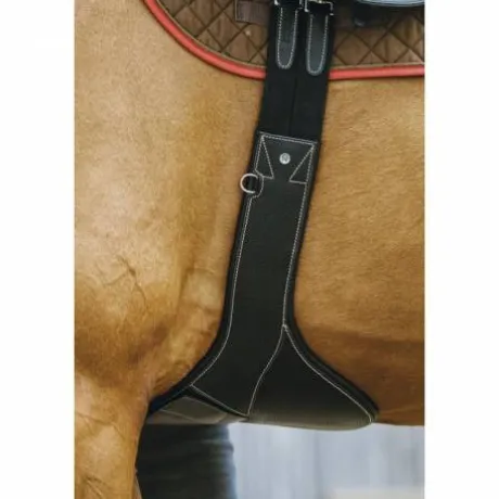 Sangle bavette Magnet - NORTON