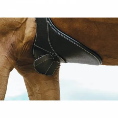 Sangle bavette Magnet - NORTON