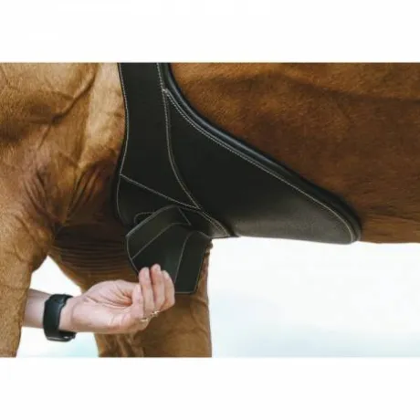 Sangle bavette Magnet - NORTON