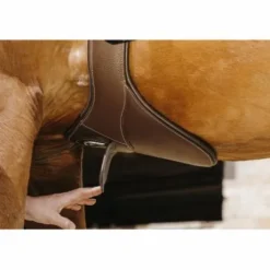 Sangle bavette Magnetique Norton Pro