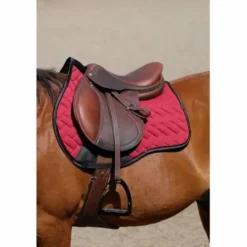 Sangle bavette Magnetique Norton Pro