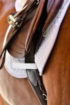 Sangle CSO Thinline à élastiques