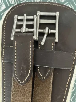 Sangle de dressage courte