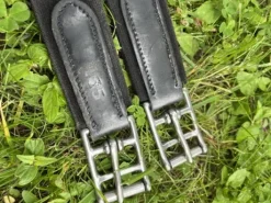 Sangle mouton canter