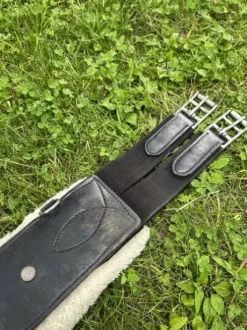 Sangle mouton canter