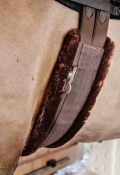 Sangle mouton Marron mouton Marron - KENTUCKY