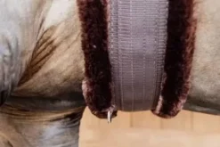 Sangle mouton Marron mouton Marron - KENTUCKY