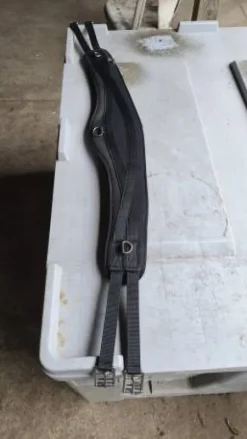 Sangle Pur Sang 130cms