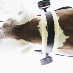 Sangle sheepskin - Kentucky