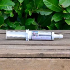 Seringue de gel gastrique Natural'Digest Flash - Natural'Innov