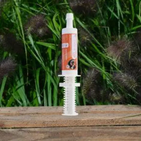 Seringue forme vitalité performance Natural'Top Flash - Natural'Innov