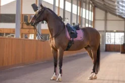 Set de guêtres et protège-boulets Franka - HV Polo