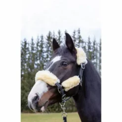 Set en mouton véritable pour licol HKM