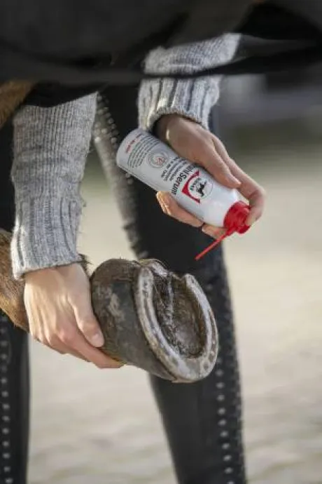 Soin de la fourchette Strahlserum - Leovet