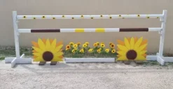 Soubassement obstacle