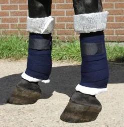 Sous bandages champion Harrys horse