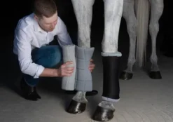 Sous-bandages circulation - Incrediwear Equine