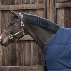 Sous-couverture Classic 100g - Kentucky