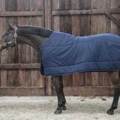 Sous-Couverture Classic 300g - Kentucky