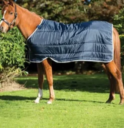Sous-couverture Horseware liner 100 - horseware - 100g