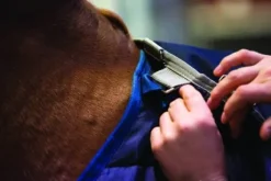 Sous-couverture Horseware liner 100 - horseware - 100g