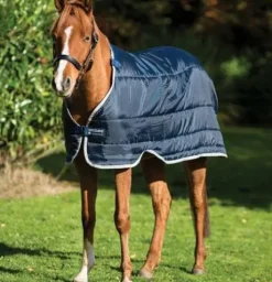 Sous-couverture Horseware liner 100 - horseware - 100g