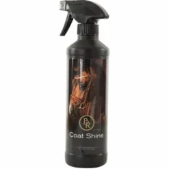 Spray coat shine 500ml BR