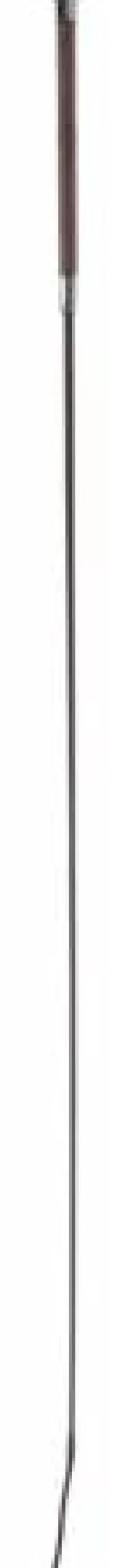 Stick de dressage poignée PU - Covalliero - 110cm