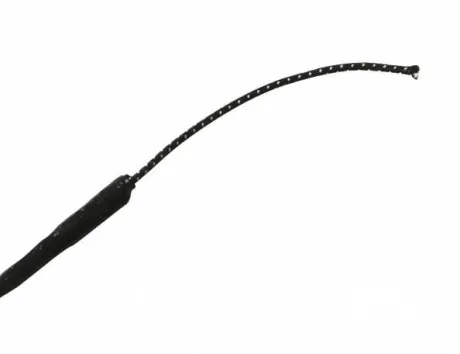 Stick de dressage W&G - Poignée blanche