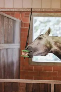 Support de pierre à lécher Delizia® - Kerbl