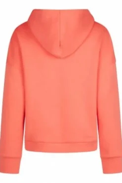 Sweat à capuche classic sports 2025 - Eskadron - edition limitée