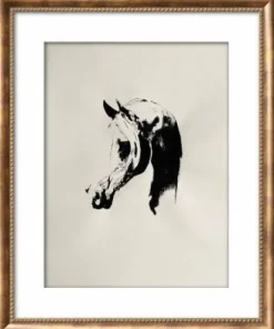 Tableaux de chevaux, poneys, ânes , chien