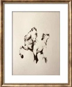 Tableaux de chevaux, poneys, ânes , chien