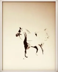 Tableaux de chevaux, poneys, ânes , chien