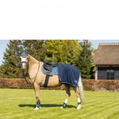 Tapis BR Mini Horse