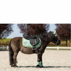 Tapis BR Mini Horse