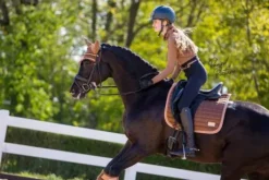 Tapis Camel bord rose - Rocky Road - Equito