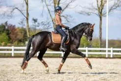 Tapis Camel bord rose - Rocky Road - Equito